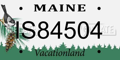 IS84504 Maine License Plate