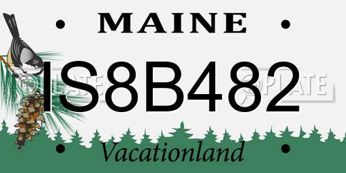 IS8B482 Maine License Plate