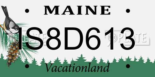 IS8D613 Maine License Plate