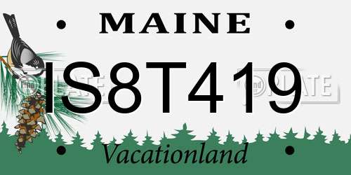 IS8T419 Maine License Plate