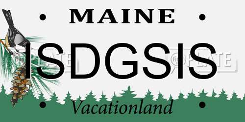 ISDGSIS Maine License Plate