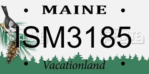 ISM3185 Maine License Plate