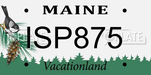 ISP875 Maine License Plate