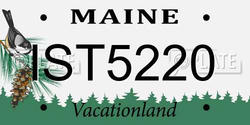 IST5220 Maine License Plate