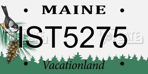 IST5275 Maine License Plate