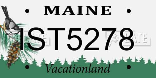 IST5278 Maine License Plate