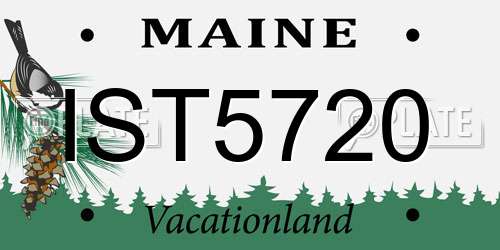 IST5720 Maine License Plate