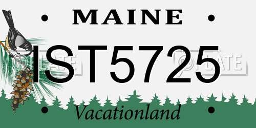 IST5725 Maine License Plate