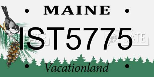 IST5775 Maine License Plate