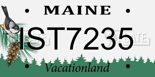 IST7235 Maine License Plate