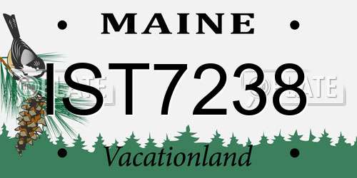 IST7238 Maine License Plate