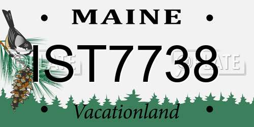 IST7738 Maine License Plate