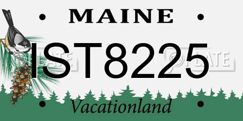IST8225 Maine License Plate