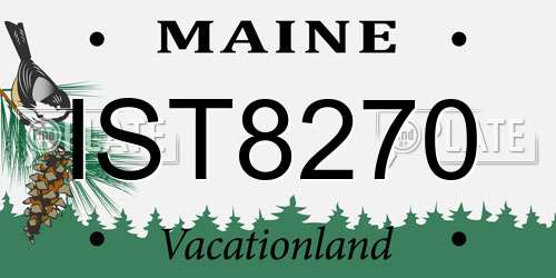 IST8270 Maine License Plate