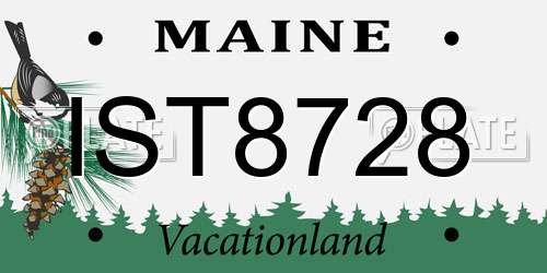 IST8728 Maine License Plate