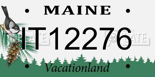 IT12276 Maine License Plate