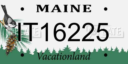 IT16225 Maine License Plate