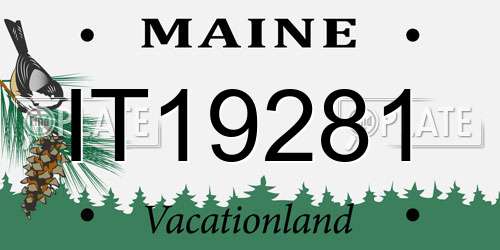 IT19281 Maine License Plate