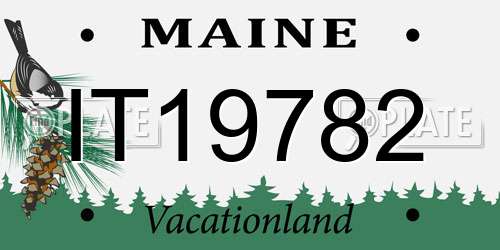 IT19782 Maine License Plate