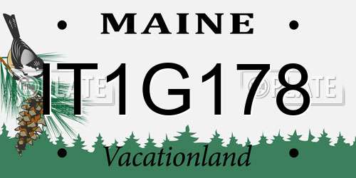 IT1G178 Maine License Plate