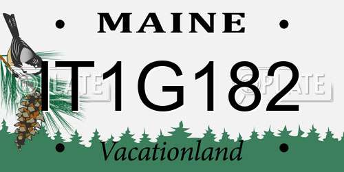 IT1G182 Maine License Plate