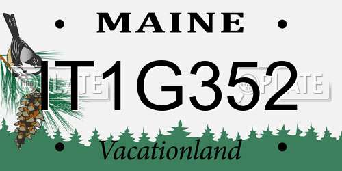 IT1G352 Maine License Plate