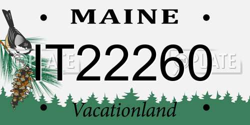 IT22260 Maine License Plate