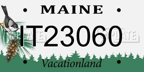 IT23060 Maine License Plate