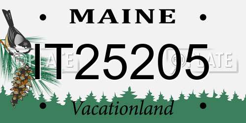 IT25205 Maine License Plate