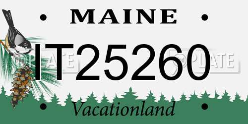 IT25260 Maine License Plate