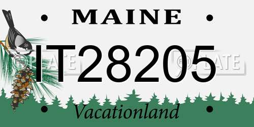 IT28205 Maine License Plate