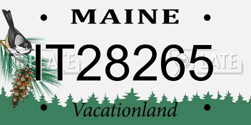 IT28265 Maine License Plate