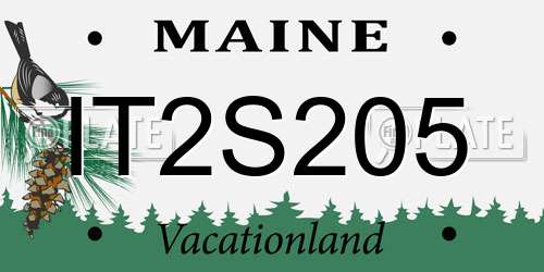 IT2S205 Maine License Plate