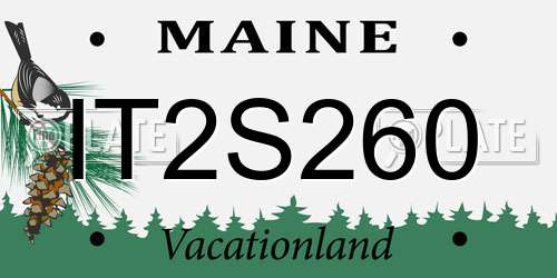 IT2S260 Maine License Plate