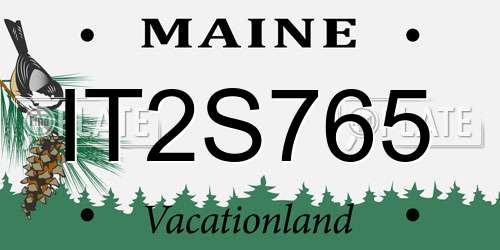 IT2S765 Maine License Plate