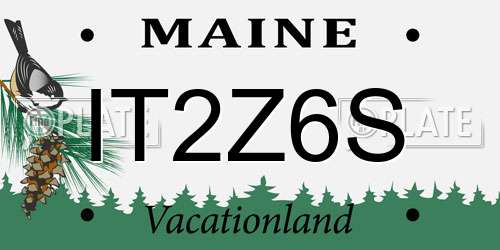 IT2Z6S Maine License Plate