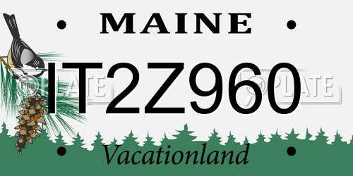 IT2Z960 Maine License Plate
