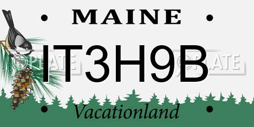 IT3H9B Maine License Plate