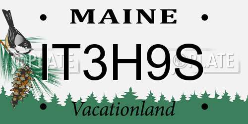 IT3H9S Maine License Plate