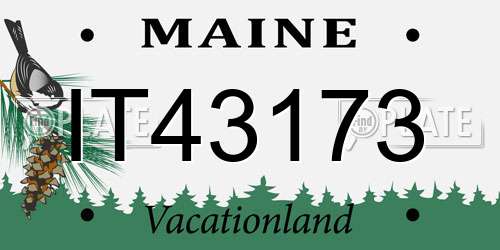 IT43173 Maine License Plate
