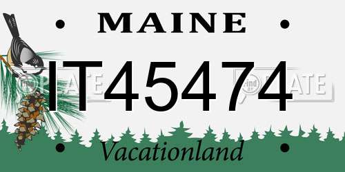 IT45474 Maine License Plate