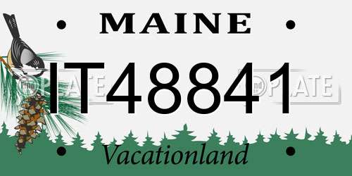IT48841 Maine License Plate