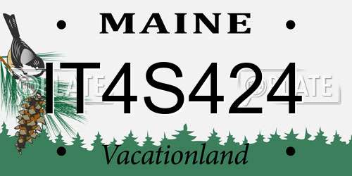 IT4S424 Maine License Plate