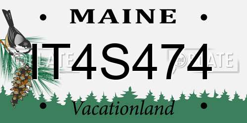 IT4S474 Maine License Plate