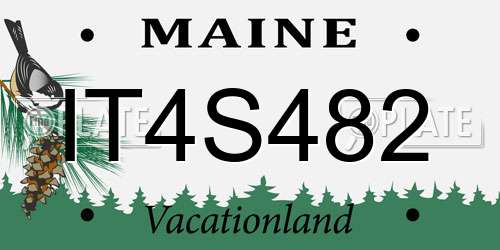 IT4S482 Maine License Plate