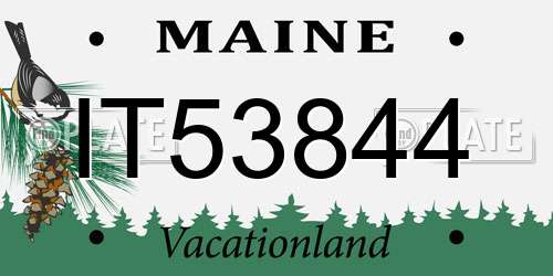 IT53844 Maine License Plate