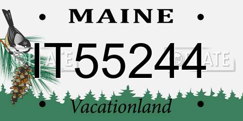 IT55244 Maine License Plate