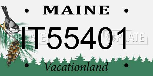IT55401 Maine License Plate