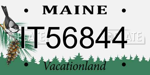 IT56844 Maine License Plate