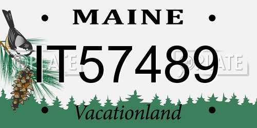 IT57489 Maine License Plate